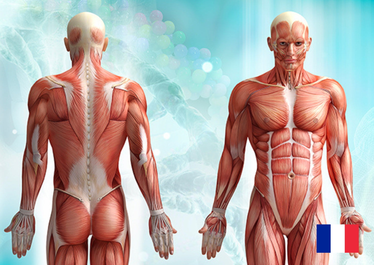 Kurs auf Französisch