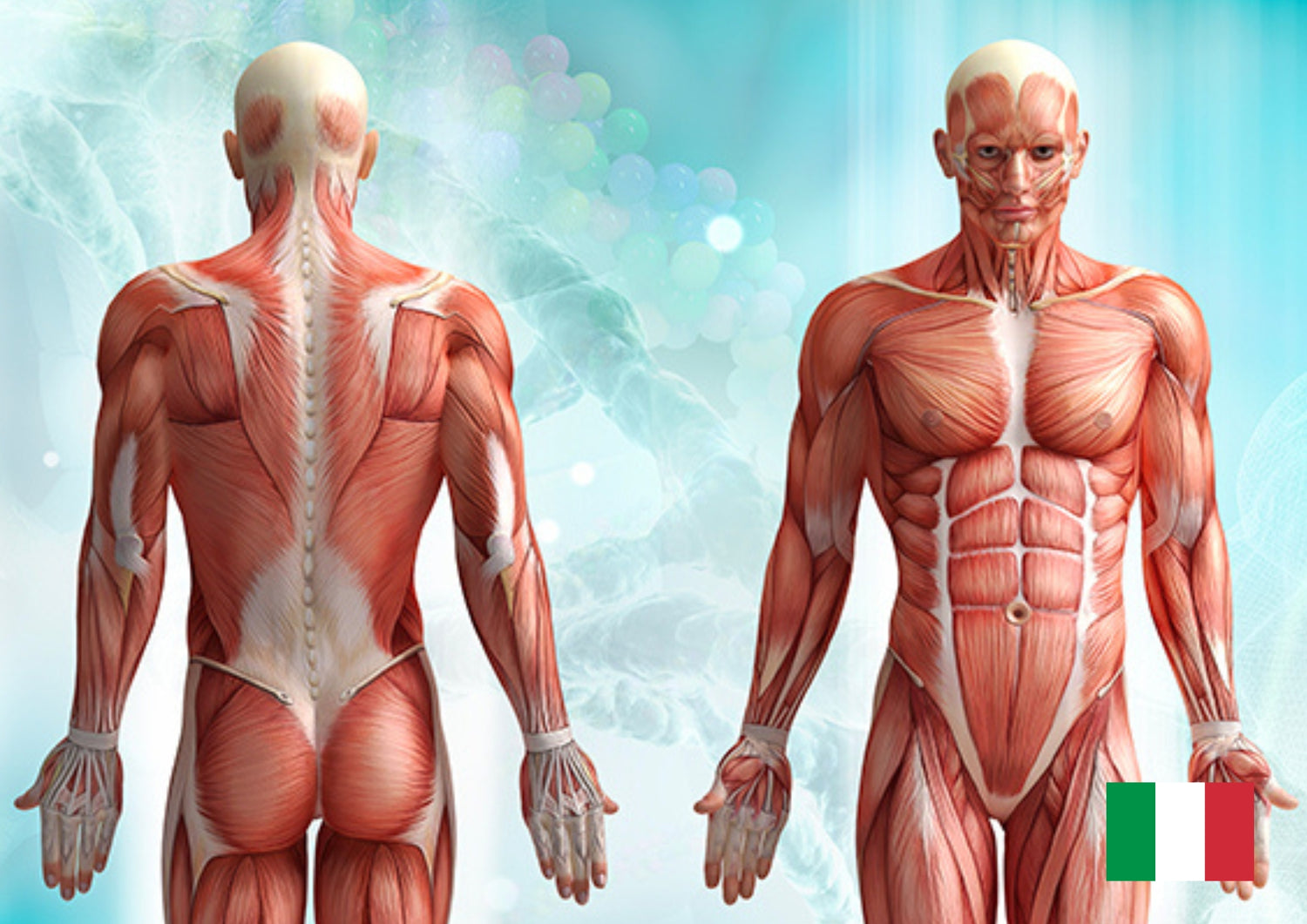 Formazione in italiano